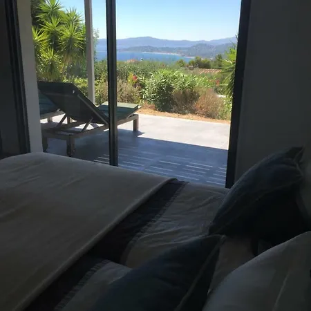 The View *