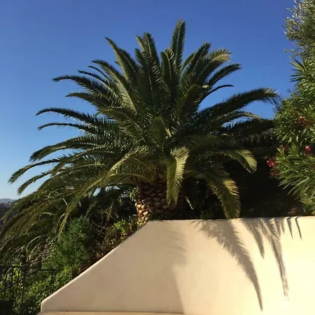 The View